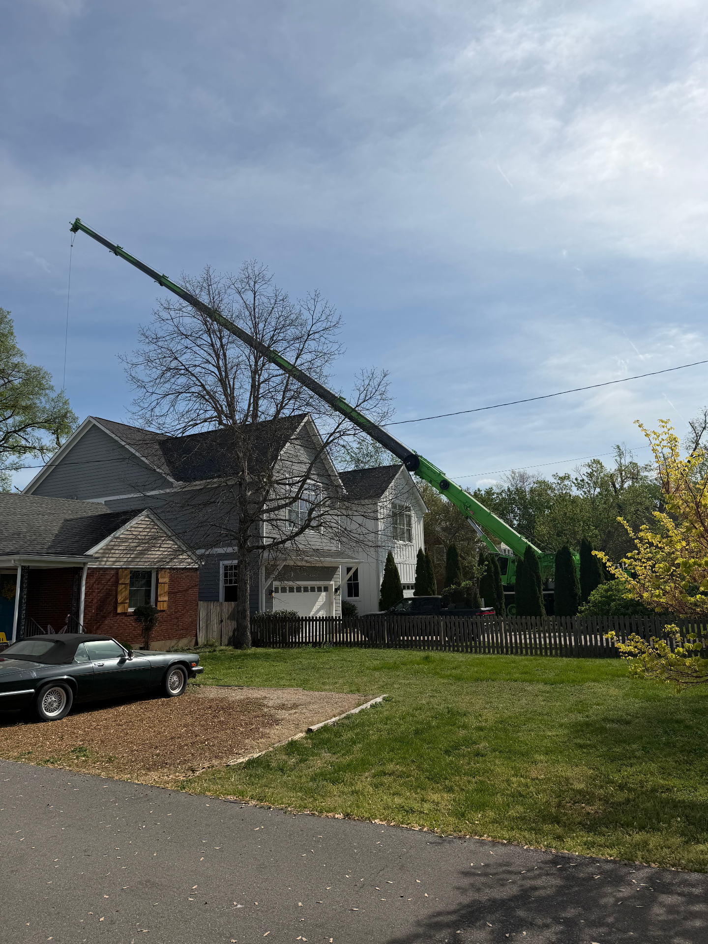 Tree Giants crew using a crane to safely remove a large tree next to a Nashville home