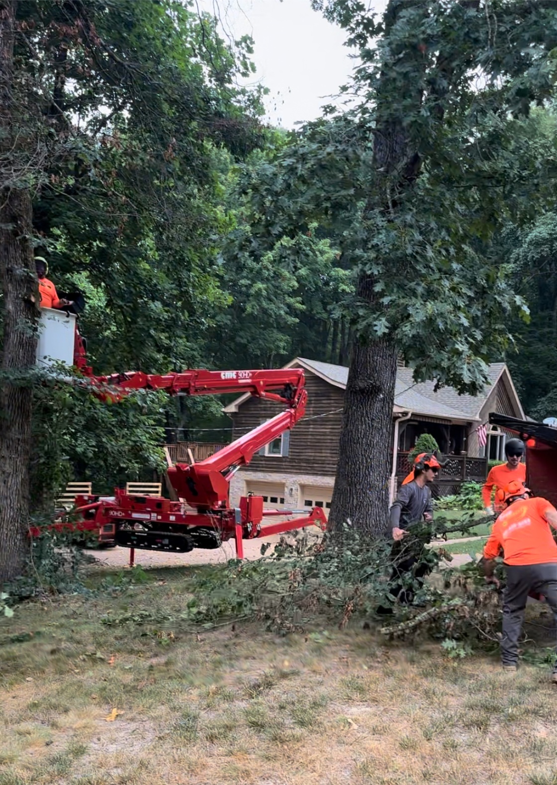 Tree Giants crew working a heavily wooded Middle Tennessee property with a CMC spider lift